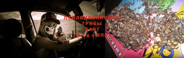 PSILOCYBIN Дмитров