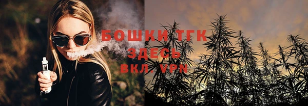 PSILOCYBIN Дмитров