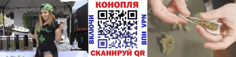 закладки  Дмитриев  Бошки Шишки White Widow 